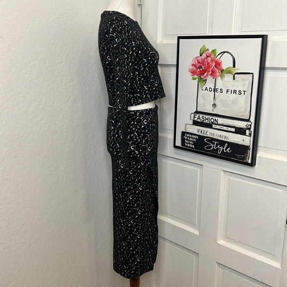 Alice & Olivia BNW Two Piece Skirt Set Size 0 & 2 - Picture 2 of 11